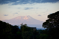 Arusha area/Mt. Kilimanjaro